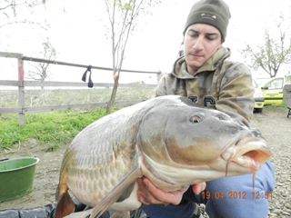 Tancabesti